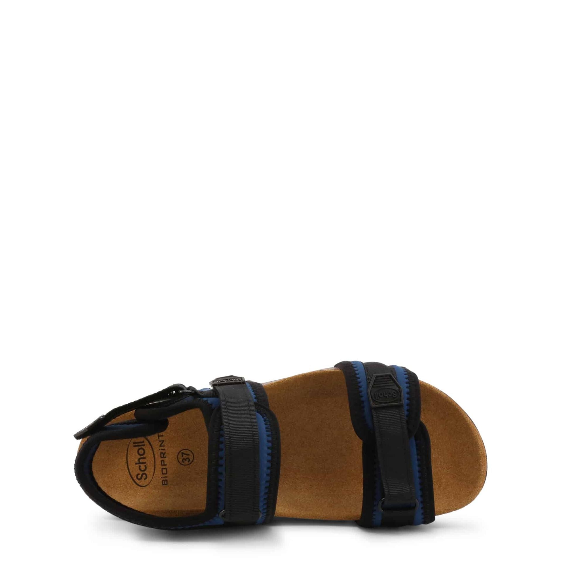 Scholl